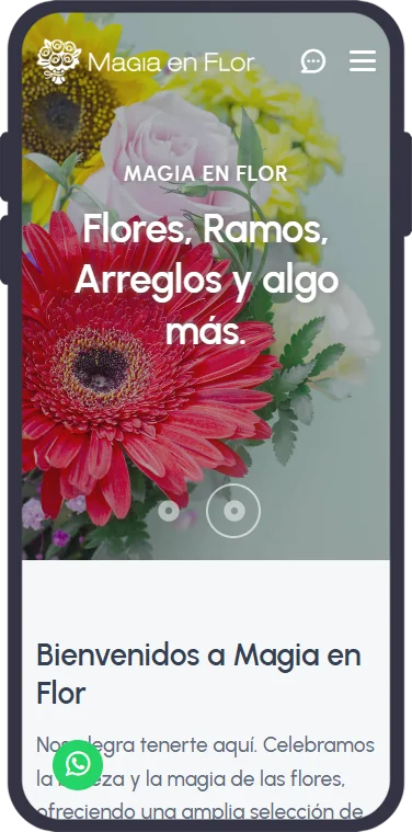 Cliente del wol.mx